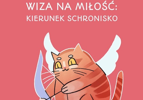 Ponad 150 kotów i kilkadziesiąt psów do adopcji