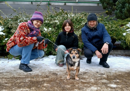 Ponad 150 psów czeka w toruńskim schronisku na nowy dom. Placówka apeluje o adopcje