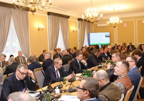 W Sejmie awantura o świnie. Czy Polska odbuduje pogłowie trzody chlewnej?