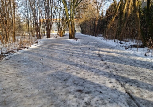 Pogoda na piątek | Na plusie z przelotnymi opadami deszczu