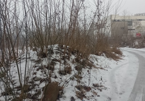 Nowe Centrum Torunia. Mieszkańcy podzieleni ws. budowy bloków w pobliżu starówki