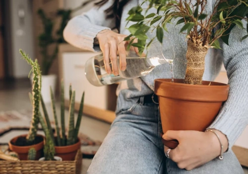 Kup w aptece i wsyp do ziemi raz w miesiącu. Kwiaty odżyją po zimie