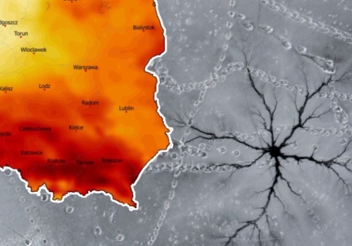 Śnieg spływa z ulic, na gruncie zamarza deszcz. Ostatnia taka faza pogodowa