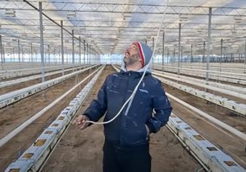 Przez 6 godz. nie miał prądu. Milionowe straty. Dramat rolnika