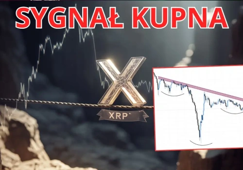 XRP wzrośnie wkrótce o 100%? 3 sygnały, że Ripple szykuje się do wybicia