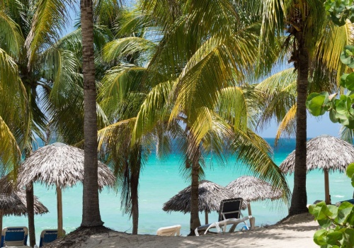 MSZ ostrzega Polaków przed podróżą. Rajska wyspa pogrążona w chaosie, brakuje żywności i leków