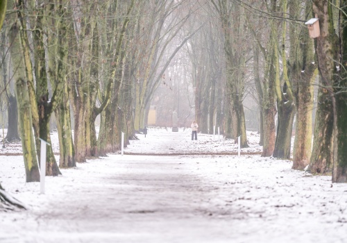 Zima nie odpuszcza. Ostrzeżenie IMGW dla 12 województw!