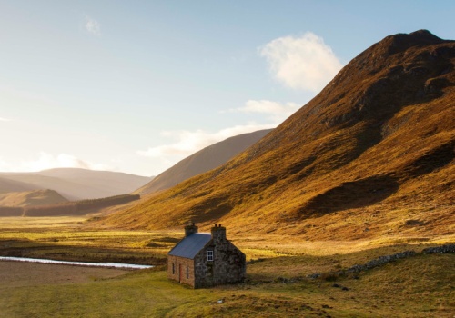 Cytat o miłości i budowaniu domu
