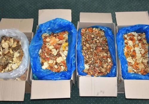 Nietypowe odkrycie na granicy. Chciał przemycić suszone muchomory