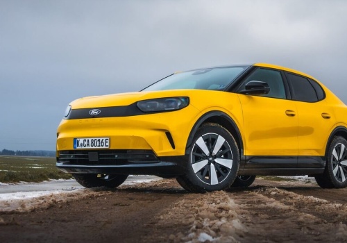 Szef Forda ma nowy plan. A może frytki do tego?