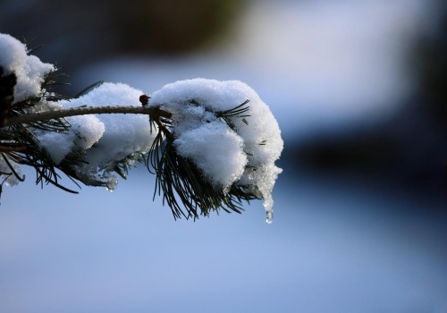 BdPN ostrzega. Trudne warunki na szlakach w Bieszczadach z powodu odwilży