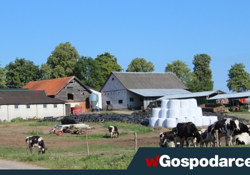 Koniec kar za legalną pracę na wsi?