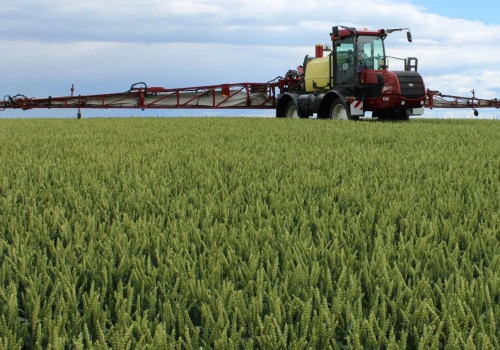 Nawet 1180 zł/ha. Do jakich upraw dostaniesz dopłaty IP w 2026?