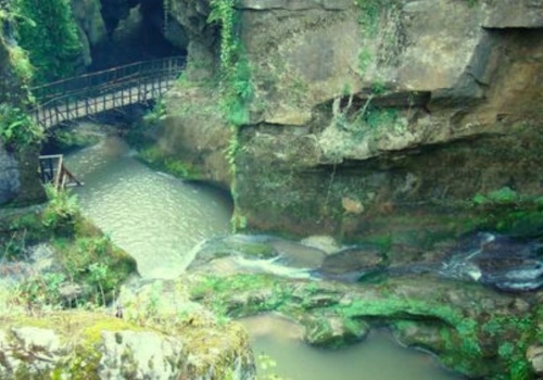 Dżungle jak w Azji, ukryte pod ziemią. W tej jaskini rozkwita piękno; każdy może je zwiedzić