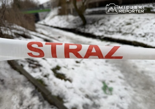 Ciało z raną postrzałową pod wiaduktem. Na miejscu pracowała policja pod nadzorem prokuratora