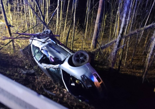 Piątek trzynastego: spektakularny lot w drzewa. Przegrał z fizyką