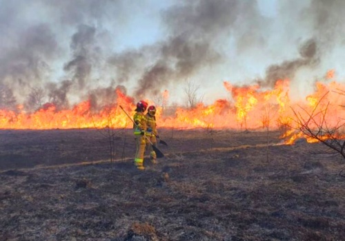 Aż 30 000 zł mandatu i utrata dopłat z ARiMR. Nowe kary za wypalanie traw