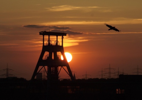 Ślonzoki, dejcie pozōr!