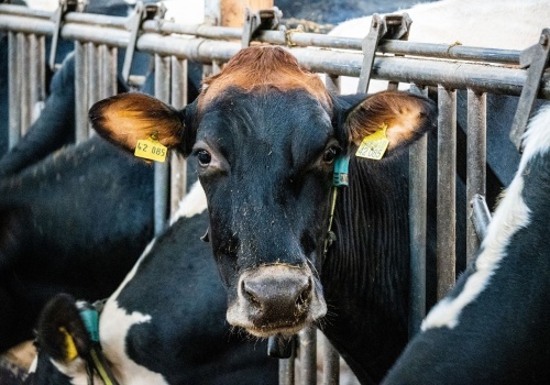 Była firma, nie ma firmy