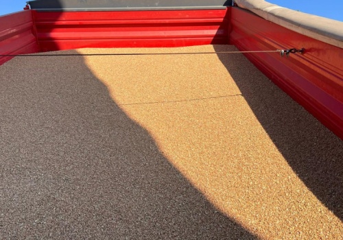 Prognoza rekordowych zbiorów zbóż w Chinach