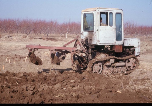 Jak z MTZ-a zrobić mini DT-a i po co? Historia pewnego ciągnika
