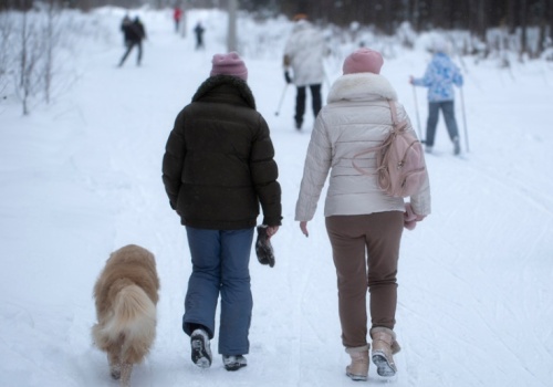 Obowiązki właścicieli psów. Lekceważenie grozi odebraniem zwierzęcia