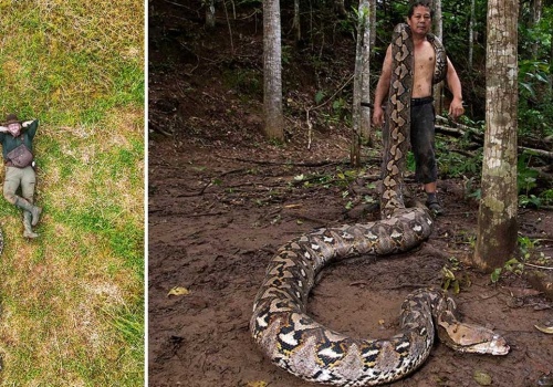 Znaleźli gigantycznego węża. To oficjalne nowy rekord Guinnessa