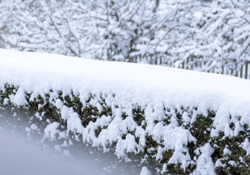 Ponowne uderzenie zimy! Ostrzeżenie IMGW przed śniegiem