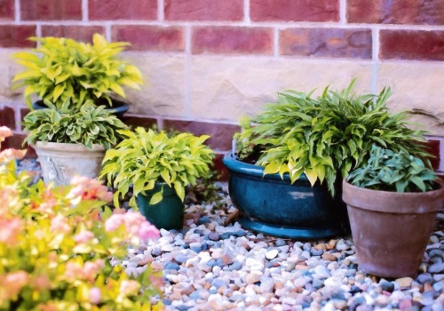 Najpierw zwykła dekoracja, potem efekt 