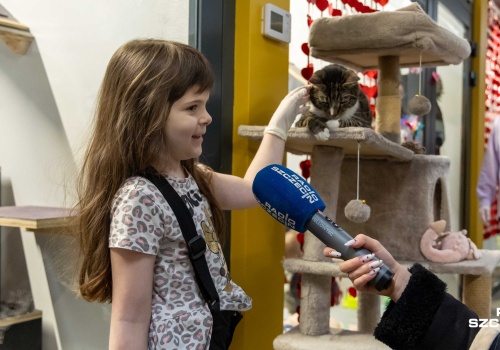 Zakochać się od pierwszego wejrzenia można w.... podopiecznych szczecińskiego schroniska dla bezdomnych zwierząt [ZDJĘC…