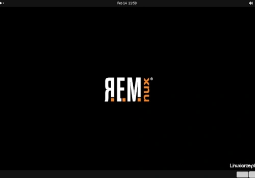 REMnux 8