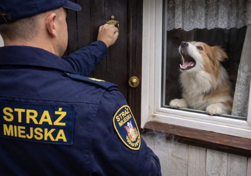 Straż od 6 rano będzie pukać do drzwi z wilgotnościomierzem. Zrobi pomiar i mandat 500 zł