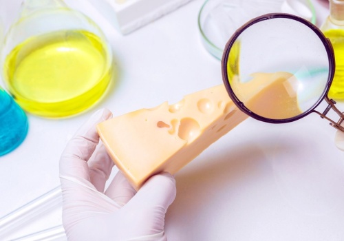 Wegański ser z Wrocławia podbije Europę? Nadchodzi kulinarna rewolucja