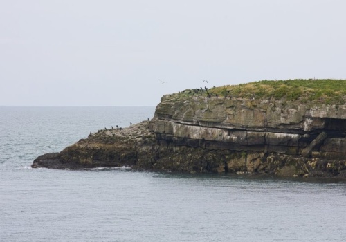 Wyspa w Walii za cenę mieszkania – prywatny raj na wyciągnięcie ręki