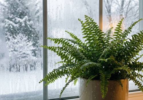 Zaparowane okna i ciężkie powietrze? Jedno rozwiązanie jest zaskakująco proste