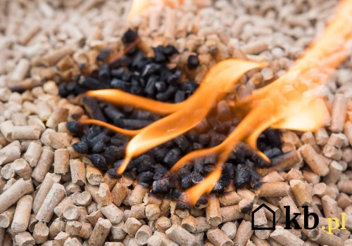 Ten jeden objaw zdradza złe ustawienia pieca na pellet. Zużycie opału rośnie o kilkadziesiąt %