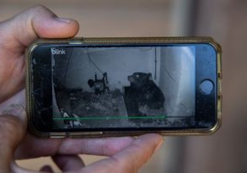 Usłyszał huk. Tajemniczy lokator przyprawił go o dreszcze