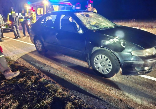 Zderzenie z łosiem na trasie Osowno – Wola Osowińska. Na miejscu interweniowały służby ratunkowe