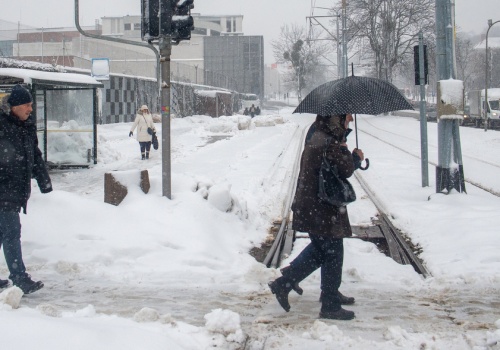 Ostrzeżenie przed silnym mrozem. Urzędnicy apelują o unikanie spacerów