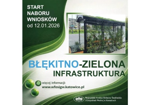 Trwa nabór do III edycji programu „Błękitno-zielona Infrastruktura”. Nawet 300 tys. zł dotacji na retencję i zieleń w miastach
