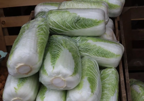 Tańsza kapusta z Ukrainy uderza w polskich plantatorów. Ceny spadają z dnia na dzień