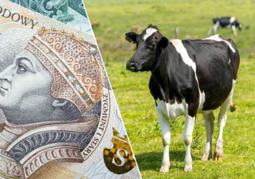 Wyższe dopłaty i mniej biurokracji w ARiMR? Rolnicy żądają pilnych zmian w ekoschematach