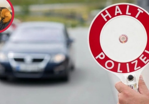 Polak zatrzymany na niemieckiej granicy. Policja odkryła kradzież audi, a potem był jeszcze większy zwrot akcji