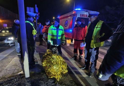 Potrącił kobietę i uciekł. Jest poszukiwany (ZDJĘCIA)
