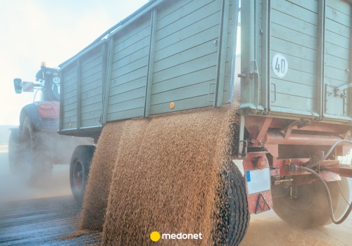 Żywność spoza UE pod lupą Ministerstwa Zdrowia. Chodzi o zakazane pestycydy
