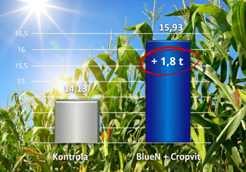 Azot w kukurydzy – na starcie i przez cały okres wegetacji!