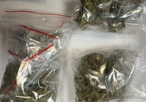 Koło, Turek. Policjanci zabezpieczyli ponad 350 g narkotyków