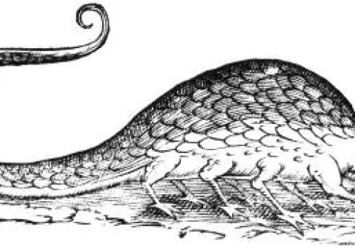 Potwór spod Starego Rynku w Warszawie. Historia, która mrozi krew w żyłach