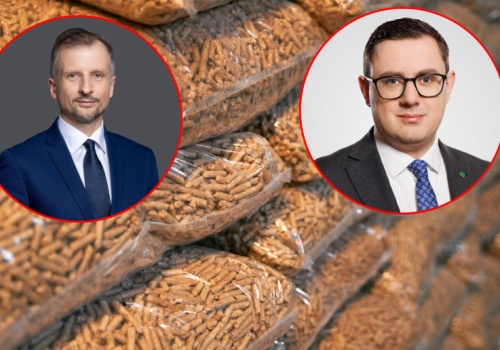 Pelletu nie ma, bo nie ma wycinek? 