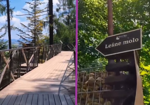 Spacer w koronach drzew i widok na góry. Ta atrakcja jest całkowicie darmowa